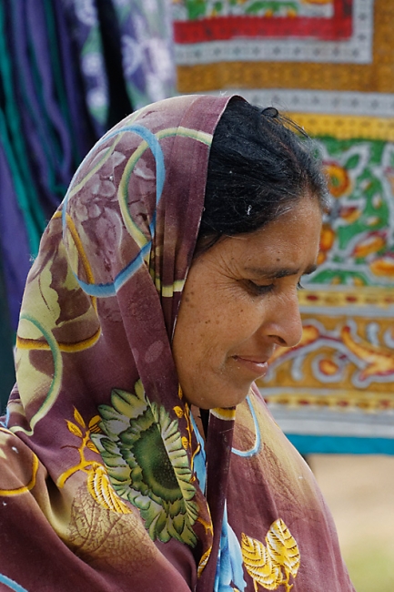 Sur la route d'Orchha-023